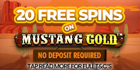 20 Free Spins No Deposit